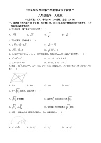 河北省廊坊市安次区2023-2024学年八年级下学期期中数学试题