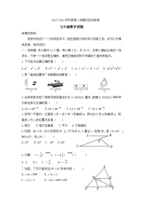 山东省枣庄市台儿庄区2023—2024学年七年级下学期期中考试数学试题