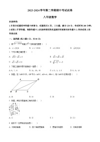 河南省濮阳市2023-2024学年八年级下学期期中数学试题（原卷版+解析版）