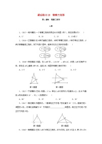 浙江省中考数学总复习第四章基本图形(一)课后练习19特殊三角形第1课时等腰三角形作业本