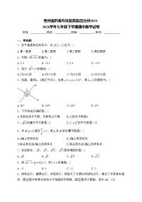 贵州省黔南布依族苗族自治州2023-2024学年七年级下学期期中数学试卷(含答案)