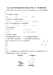 2023-2024学年河北省石家庄市赵县八年级（下）期中数学试卷（含解析）