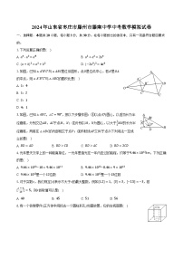 2024年山东省枣庄市滕州市滕南中学中考数学模拟试卷（含解析）