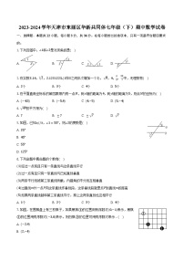 2023-2024学年天津市东丽区华新共同体七年级（下）期中数学试卷（含解析）