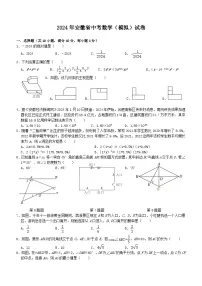 2024年安徽省中考数学（模拟）试卷(无答案)