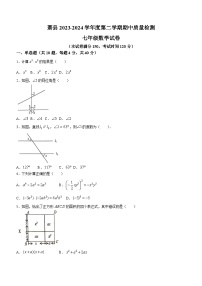 安徽省宿州市萧县2023-2024学年七年级下学期期中数学试题(无答案)