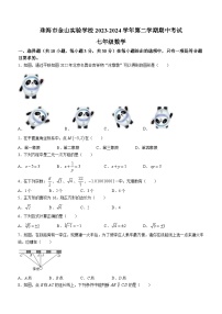 广东省珠海市金山实验学校2023-2024学年七年级下学期期中数学试题(无答案)