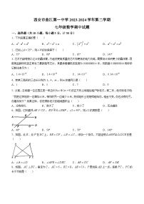 陕西省西安市曲江第一中学2023-2024学年七年级下学期期中数学试题(无答案)