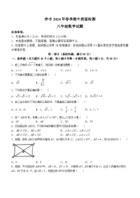 湖北省荆州市沙市区2023-2024学年八年级下学期期中数学试题(含答案)