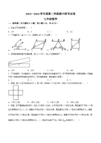 江西省赣州市南康区2023-2024学年七年级下学期期中数学试题(无答案)