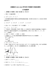 江西省景德镇市2023-2024学年七年级下学期期中数学试题(无答案)