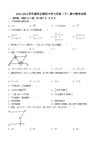 广东省惠州市惠阳区第四中学2023-2024学年七年级下学期期中数学试题(无答案)