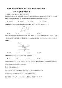 海南省海口市国兴中学2023-2024学年七年级下学期四月月考数学试题A卷(含答案)