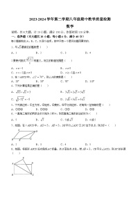 安徽省芜湖市无为市部分学校2023-2024学年八年级下学期期中数学试题(含答案)