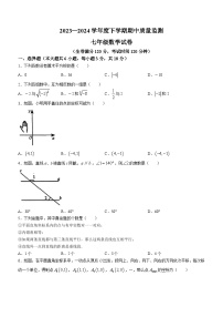 江西省宜春市高安市2023-2024学年七年级下学期期中数学试题（含答案)