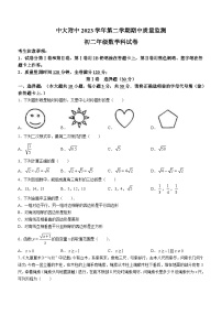 广东省广州市中山大学附属中学2023-2024学年八年级下学期期中数学试题(无答案)