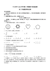 广东省广州市中山大学附属中学2023-2024学年八年级下学期期中数学试题(无答案)