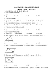 广东省中山市坦洲实验中学2023-2024学年八年级下学期期中数学试题(无答案)