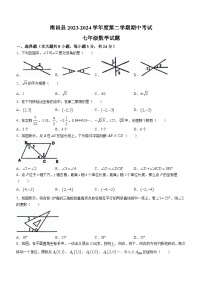 江西省南昌市南昌县2023-2024学年七年级下学期期中数学试题（含答案）