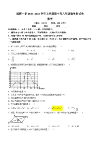 福建省厦门市槟榔中学2023-2024学年八年级下学期期中数学试题(无答案)