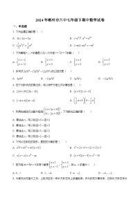 湖南省郴州市第六中学2023-2024学年七年级下学期期中数学试题（原卷版+解析版）