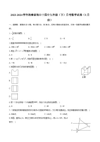 2023-2024学年海南省海口十四中九年级（下）月考数学试卷（3月份）（含解析）