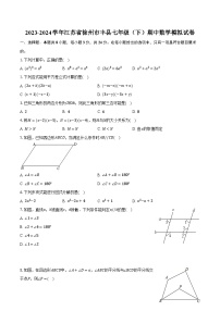 2023-2024学年江苏省徐州市丰县七年级（下）期中数学模拟试卷（含解析）