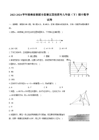 2023-2024学年湖南省湘潭市岳塘区四校联考九年级（下）期中数学试卷（含解析）