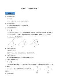 2024年中考数学必考考点专题08 三角形综合篇（解析版）