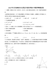 2024年江苏省南京市玄武区外国语学校中考数学零模试卷（含解析）