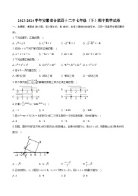 2023-2024学年安徽省合肥四十二中七年级（下）期中数学试卷（含解析）