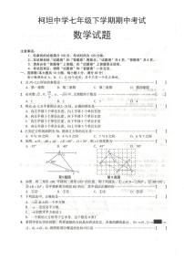 安徽省合肥市庐江县柯坦初级中学2023-2024学年七年级下学期4月期中数学试题