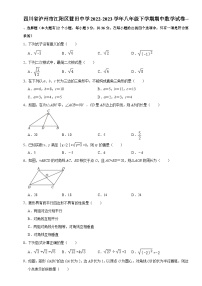 四川省泸州市江阳区蓝田中学2022-2023学年八年级下学期期中数学试卷+