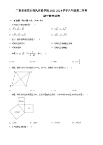 广东省东莞市东莞市沙田瑞风实验学校2023-2024学年八年级下学期期中数学试题（原卷版+解析版）