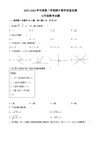 广东省阳江市阳东区2023-2024学年七年级下学期期中数学试题（原卷版+解析版）