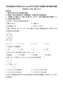 河北省廊坊市香河县2023-2024学年七年级下学期期中联考数学试题（原卷版+解析版）