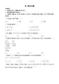 湖南省郴州市嘉禾县坦坪镇田心中学2023-2024学年九年级下学期期中数学试题（原卷版+解析版）