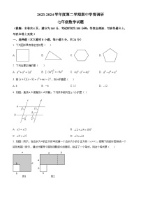 江苏省徐州市丰县2023-2024学年七年级下学期期中数学试题（原卷版+解析版）