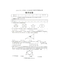 湖南省张家界市桑植县2023-2024学年八年级下学期4月期中数学试题