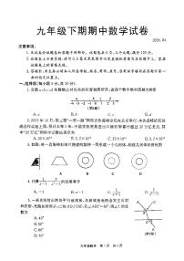 河南省新乡市辉县市2023-2024学年下学期九年级期中考试数学试卷+