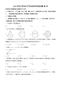 2024年贵州省中考适应性考试九年级数学试题（原卷版+解析版）