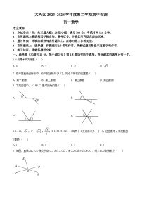 北京市大兴区2023-2024学年七年级下学期期中数学试题（原卷版+解析版）