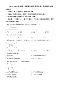 河北省唐山市迁安市2023-2024学年七年级下学期期中数学试题（原卷版+解析版）