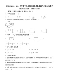 湖北省荆门市京山市2023-2024学年九年级下学期期中数学试题（原卷版+解析版）