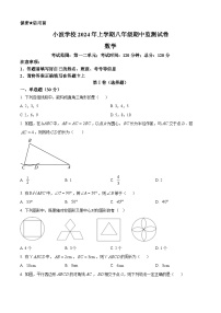 湖南省益阳市沅江市南大膳镇小波学校2023-2024学年八年级下学期期中数学试题（原卷版+解析版）