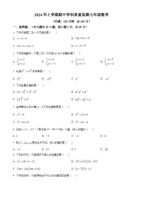 湖南省岳阳市岳阳县2023-2024学年七年级下学期期中数学试题（原卷版+解析版）