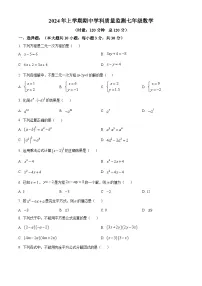 湖南省岳阳市岳阳县2023-2024学年七年级下学期期中数学试题（原卷版+解析版）