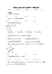 安徽省2024届九年级上学期中考一模数学试卷(含答案)