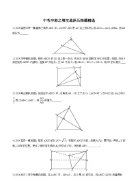 中考冲刺之填空选择压轴精选