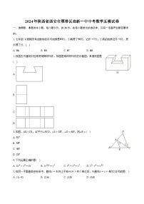2024年陕西省西安市雁塔区高新一中中考数学五模试卷（含解析）